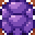 Turtle Shell