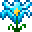Aura Lily