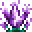 Zenkai Lotus