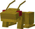 Variant 3