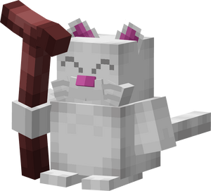 Korin