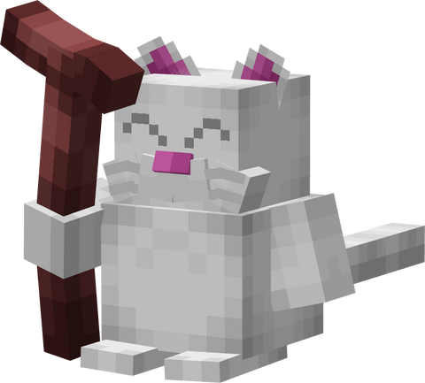 Korin